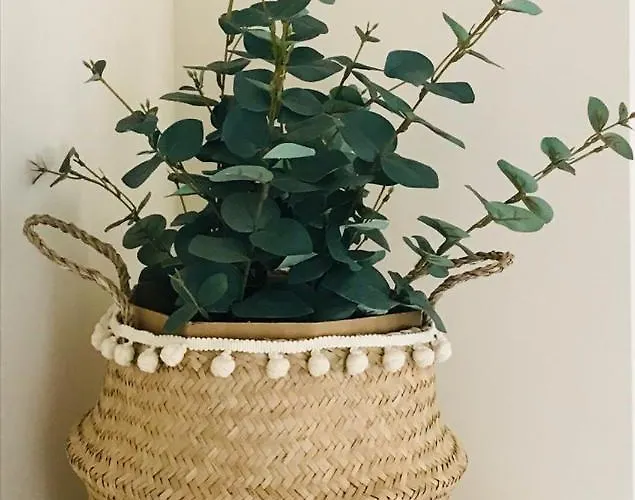 Uxama Luxury Epona - Junto A La Plaza Mayor Con Ascensor 엘부르고데오스마